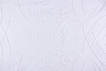 E1458-1（旧AX1458D1）圆机布 涤纶涤线 涤线白纱(含氨纶) 白色